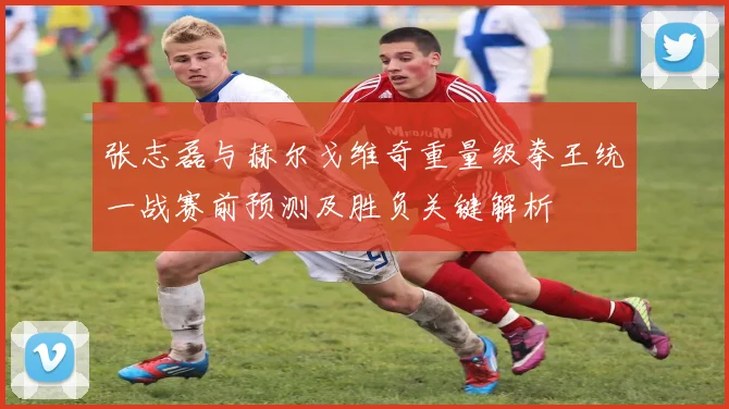 张志磊与赫尔戈维奇重量级拳王统一战赛前预测及胜负关键解析
